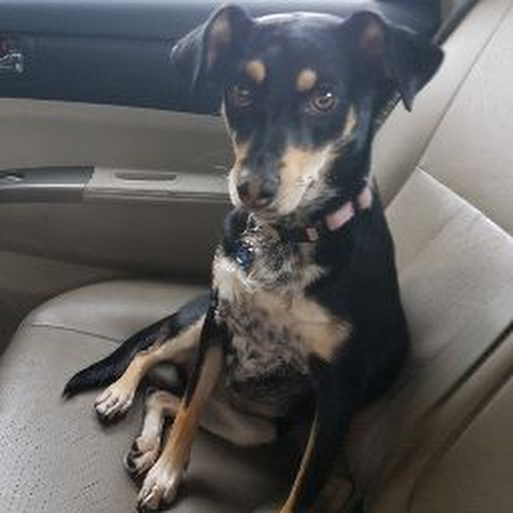 Meet your Posher, Shreya